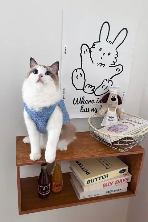 秋冬用 かわいい犬猫用衣服【温かいフリースベスト・イギリス・アメリカンショートヘア風】
