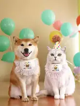 ペットの誕生日パーティーセット【猫と犬用・フリンジ付きエプロン・ドット柄キャップ・ケーキ装飾】