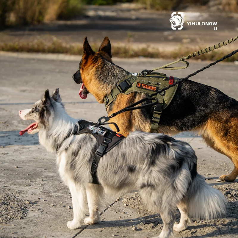 犬のお散歩グッズをコスパ良く揃える方法｜反射素材と伸縮性が両立した安全設計のハーネス徹底解説