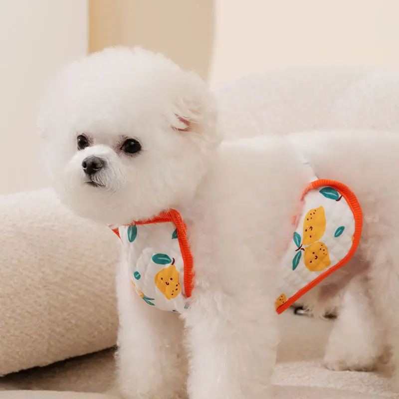 犬用夏服【薄手・お腹保護・室内・小型犬用】：夏季室内使用场景下的实用性能解析
