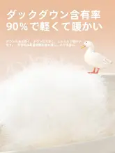 防風・防水機能付き！ダウンジャケット【男女兼用・3in1デザイン・ブラック】