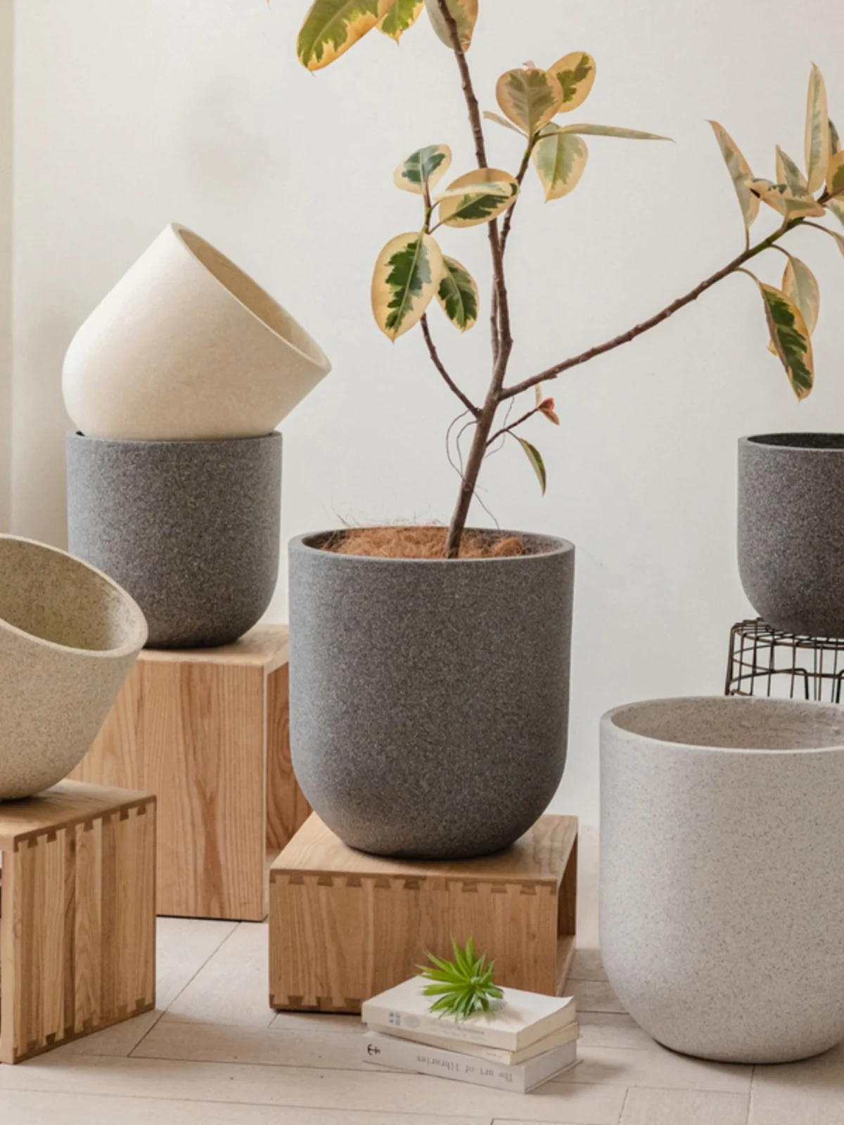 モダンデザインの陶器プランターでほったらかしで咲く花を育てる方法
