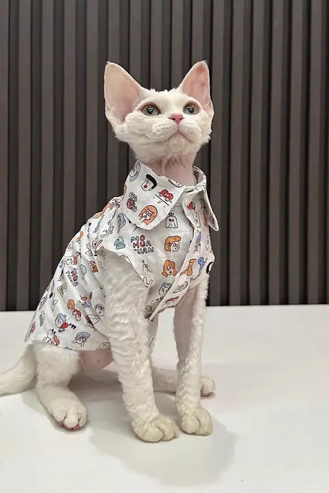 猫デザインのノースリーブシャツ【コットン製・通気性・スフィンクス用】