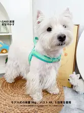 犬用 胸部ハーネスリード【防脱出・コーギー・ウエストハイランド・子犬対応】