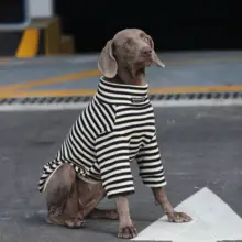 大型犬用ニットトレーナー【ツートン・ストライプ・秋冬用・ラブラドール対応】