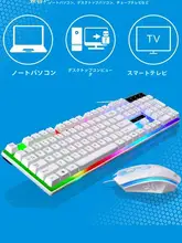 USB接続 光る ゲーミングキーボード＆マウスセット【メカニカルタッチ・透光デザイン・ビジネス・家庭用】