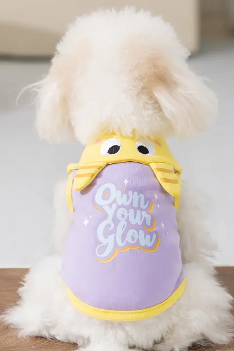 hipidog 春夏用 犬用プリントTシャツ【テディベア・スナウザー・小型犬・翻领デザイン・リード付き】