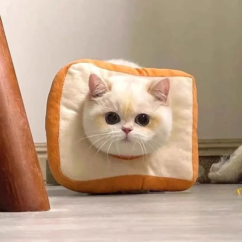 柔らかいエリザベスカラー：一人暮らしに最適な猫の保護用エリザベスカラー