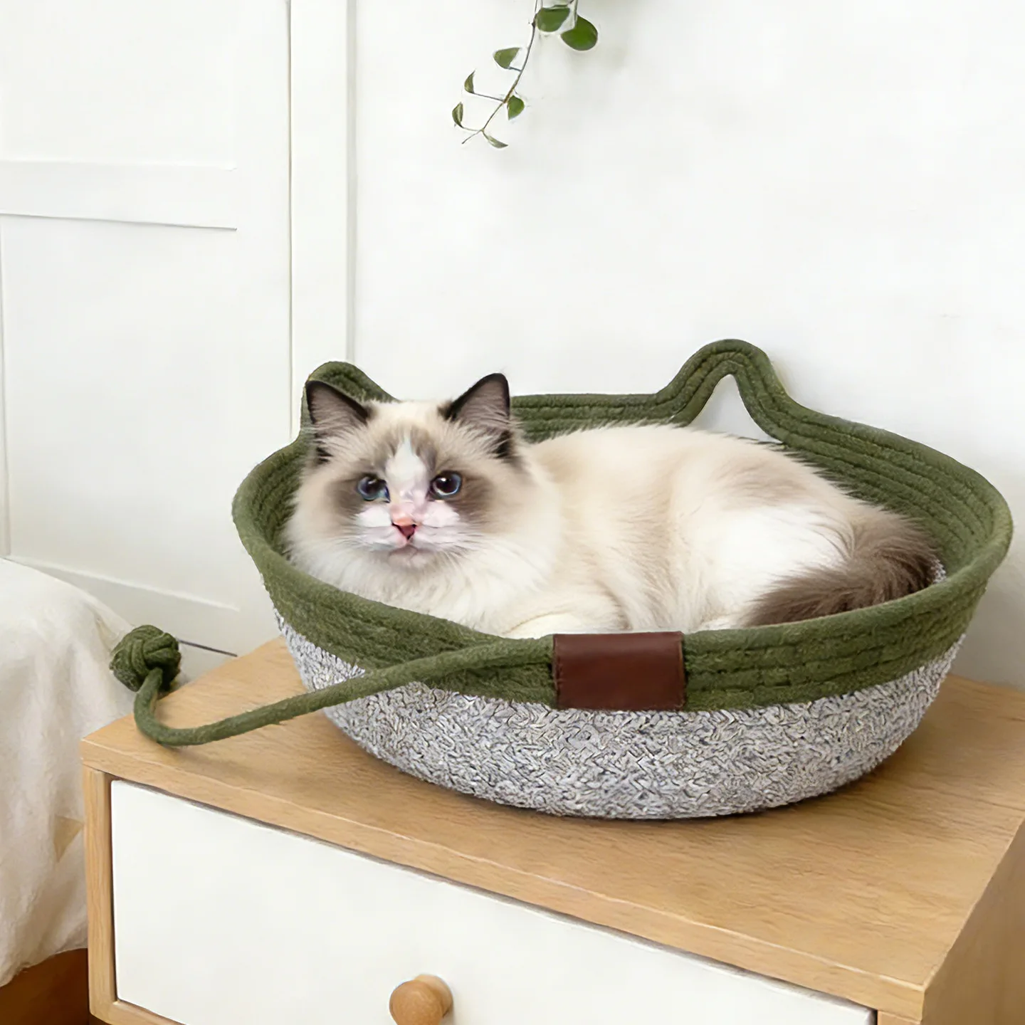 手編みの綿ロープ製ペットベッド：猫用・犬用対応の四季通用型ベッドの実用性と選び方