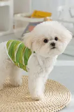 春夏用犬用ストラップ付き可愛い立体カートゥーンデザインの薄手ペットウェア【テディ・ビション用】