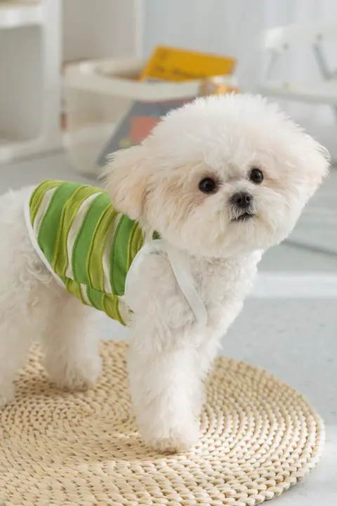春夏用犬用ストラップ付き可愛い立体カートゥーンデザインの薄手ペットウェア【テディ・ビション用】