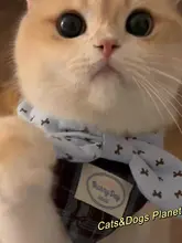 ペット用 フード付きビブ【猫犬用・装飾的な蝶ネクタイ・金色グラデーション】