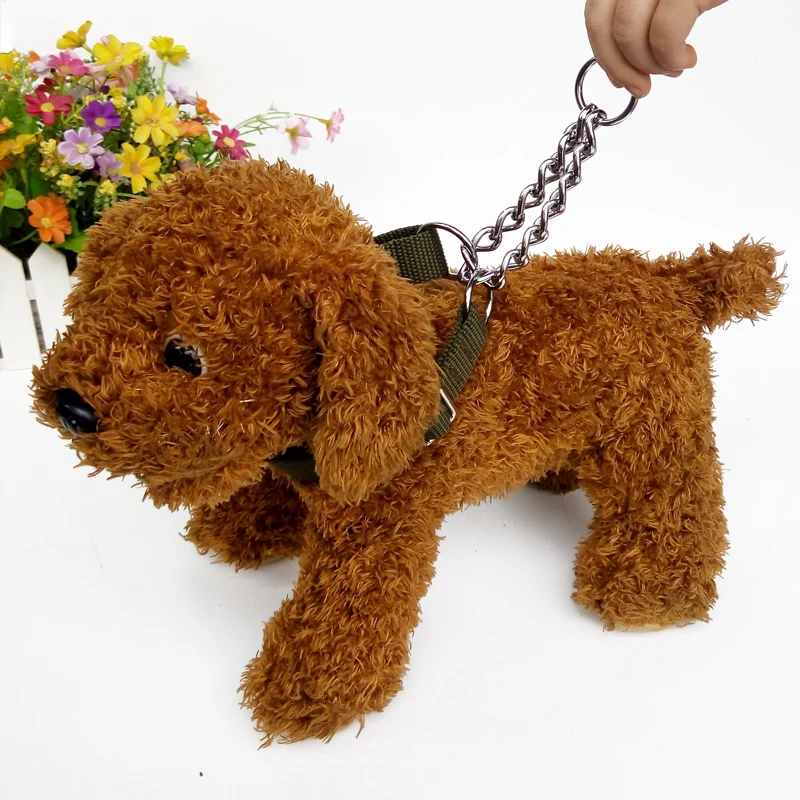 犬のお散歩グッズをコスパ良く揃える方法｜ミリタリーグリーン首輪の実用性徹底解説