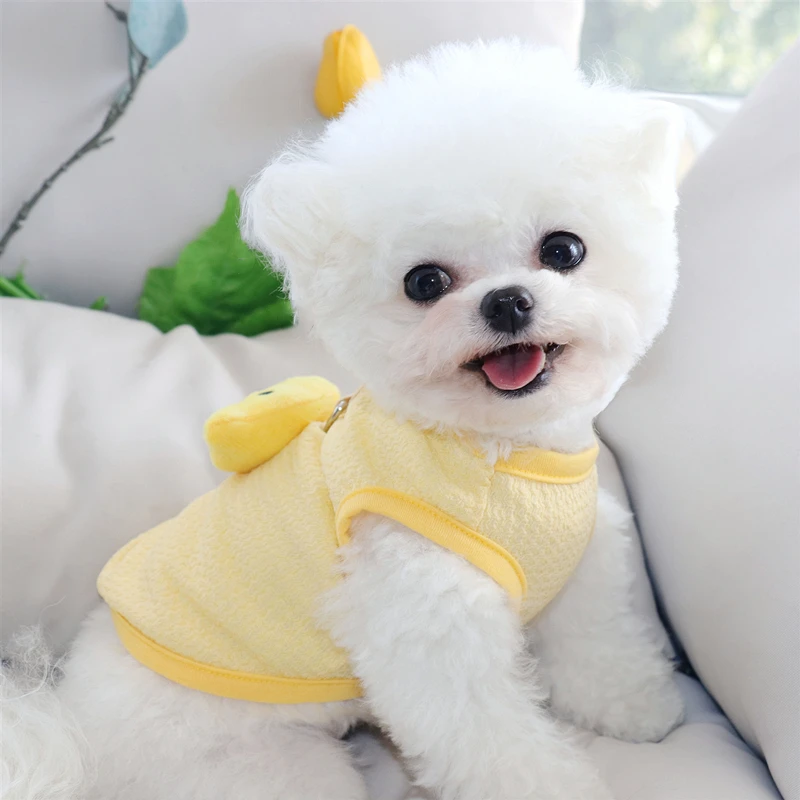 犬の春先に着せるベストは、どんなものか？