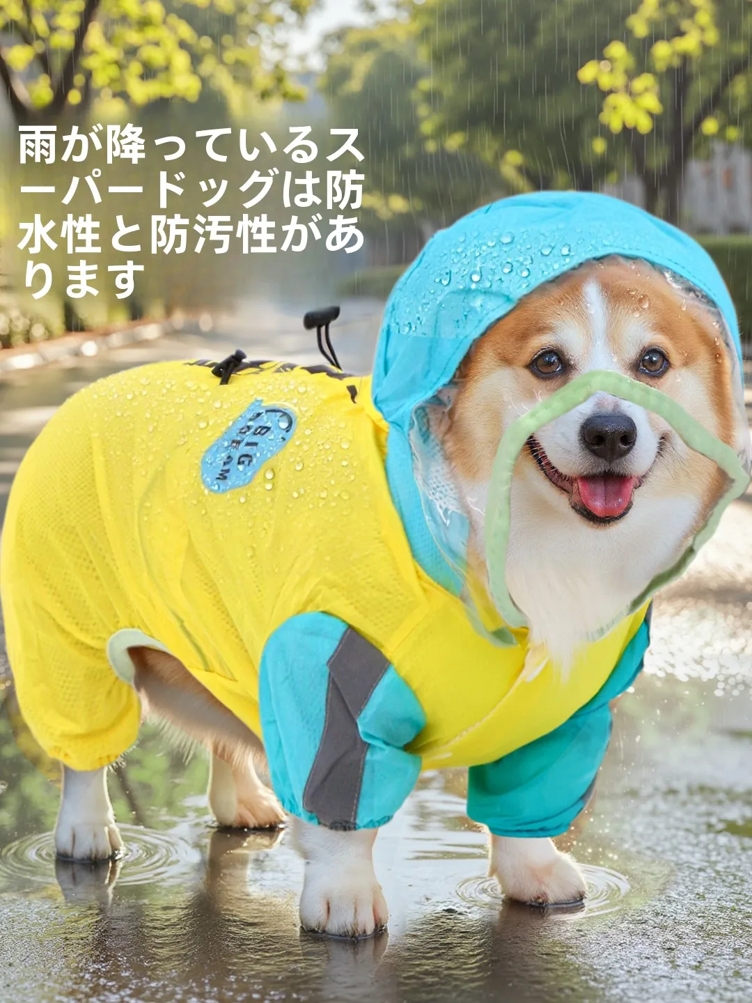 犬と一緒にアウトレットに行くとき、雨の日はこうやって防ぐ？