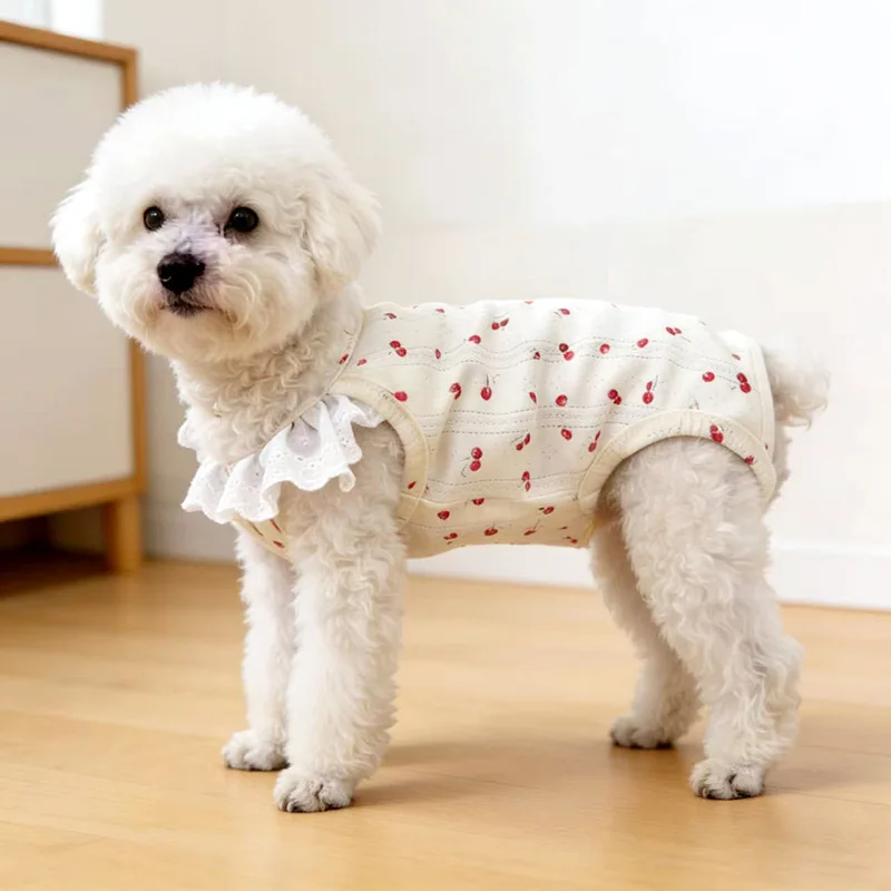 チワワにぴったりの春用犬服は、どう選ぶ？