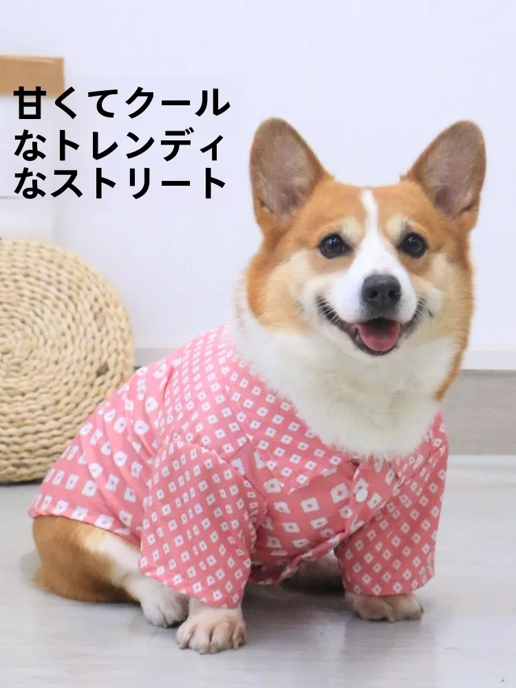 かるキャンで犬と一緒に過ごす「心の癒し」は、どんなアイテムが鍵を握っているの？