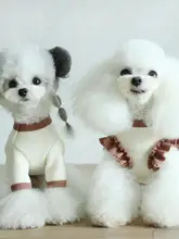 ペット用 ワッフル生地のクマ柄カップル服【小型犬・トイプードル・マルチーズ・ヨークシャーテリア用】
