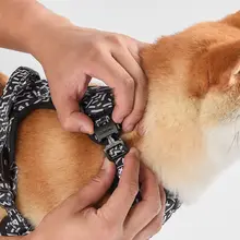 小型犬用ハーネスリード【防爆設計・柴犬・ゴールデンレトリバー対応】