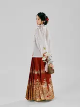 華やかなデザインの馬面スカート【明朝風・紅色・半身スカート】（セットアップ対応）