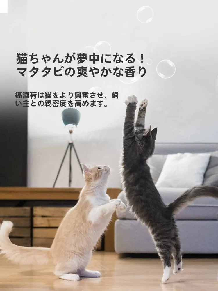 猫薄荷入りバブル水おもちゃ：子猫の解闷に最適な遊び道具とは