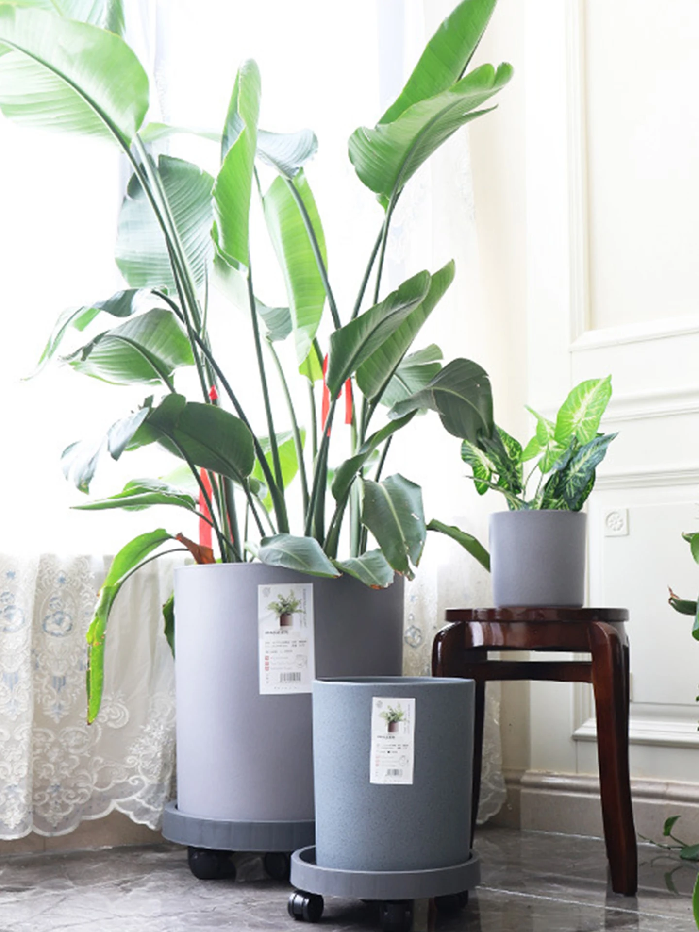 3号ポットと4号ポットの違い：陶器製プラスチック植木鉢のサイズ・用途・価格比較