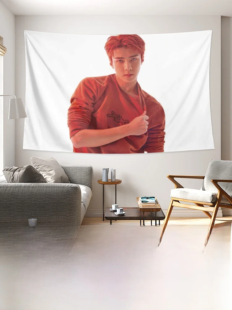EXO ウォン・シヒョンデザインタペストリー：韓式ウォールデコレーションの実用性とサイズ選定ガイド