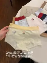 女性用コットン抗菌素材の薄型ボクサーパンツ【夏用・長めの股上】（セットアップ対応）