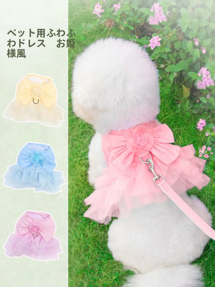 犬のお散歩グッズをコスパ良く揃える方法｜失敗しない選び方の完全ガイド