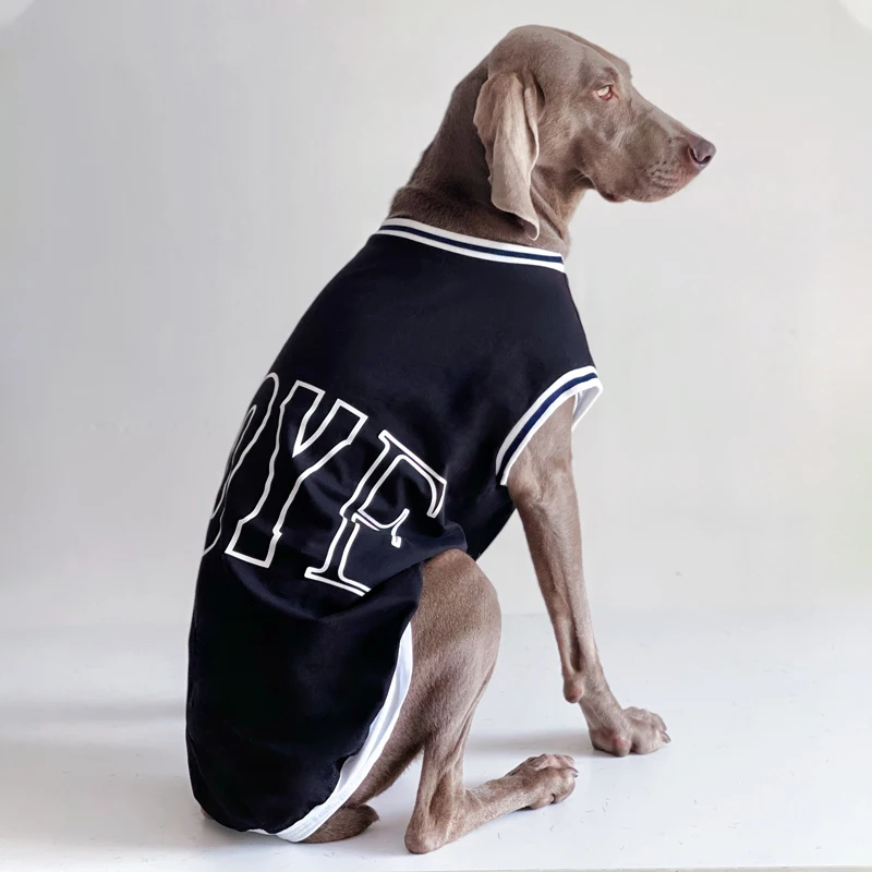 大型犬用夏用ペットウェア：薄手ドッグTシャツで暑さ対策を実現