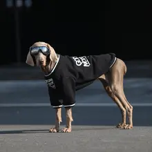 大型犬用ウェア【春秋用・フーディー・ラブラドール・ゴールデン・サモエド対応】