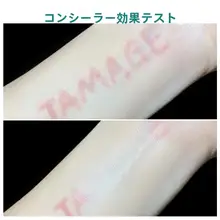 カバー力の高いファンデーション【オイル肌・乾燥肌用・気泡クッションパッケージ】