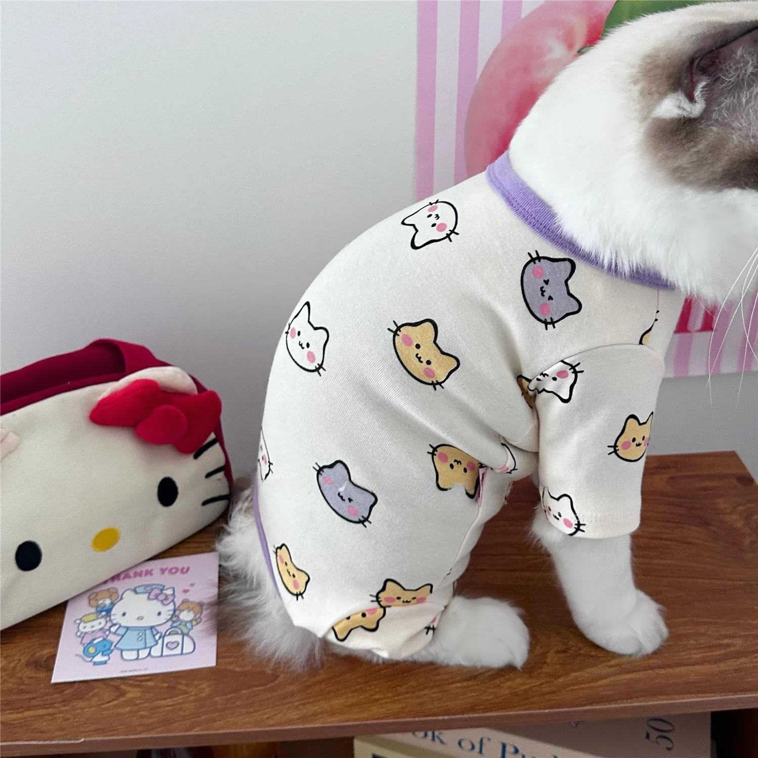 チワワとトイプードルのハーフにぴったりの秋冬ペット服は？