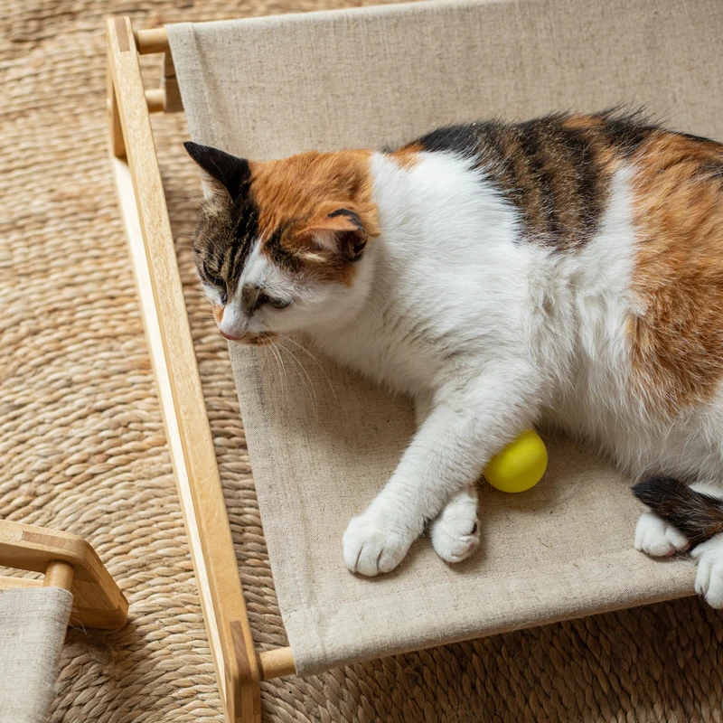 木製キャットベッド【四季対応・クッション付き・ハンモックスタイル】の実際の使い勝手とは？