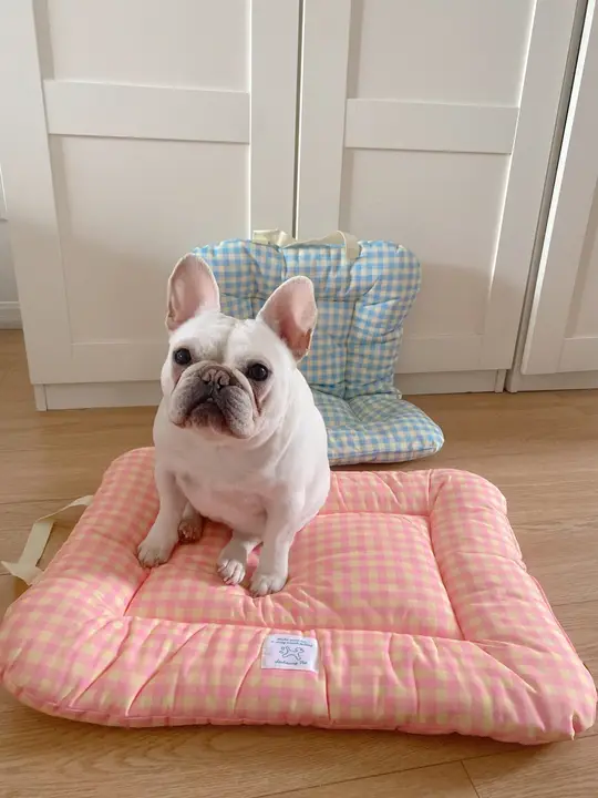 ペット用 通年対応の柔らかい寝具【犬・猫用・持ち運び可能・快適】