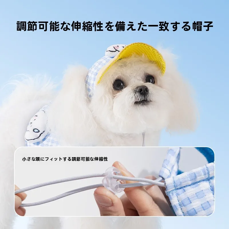 小型犬のハーネス選びで迷うなら、これひとつで解決できる？