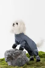 hipidog ペット用 防水防汚パンツ【小型犬用・四脚カバー・お出かけ対応】