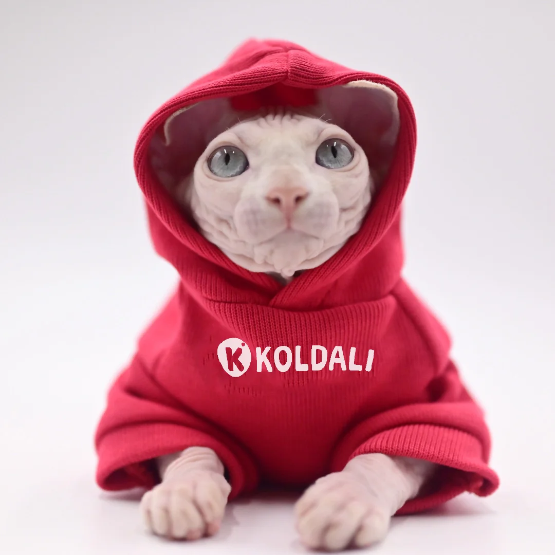 猫飼いが買ってよかったもの・悪かったもの正直に言う：スフィンクス猫用スポーツウェアの通気性とサイズ適応