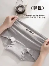 バイカラーの高腰ショートパンツ【綿100％・抗菌・通気性・快適なフィット】（セットアップ対応）