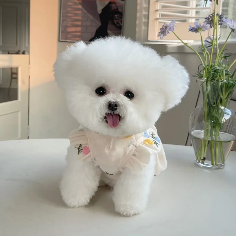 春夏用ペット服リボン付きトゥリカバー：軽量で通気性の高い犬猫用スカートの実用性を検証