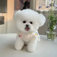 春夏用ペット服【リボン付き・トゥリカバー・軽量・犬猫用】
