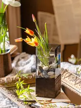 透明ガラス製の花瓶【水養生・リビングやダイニング向け】