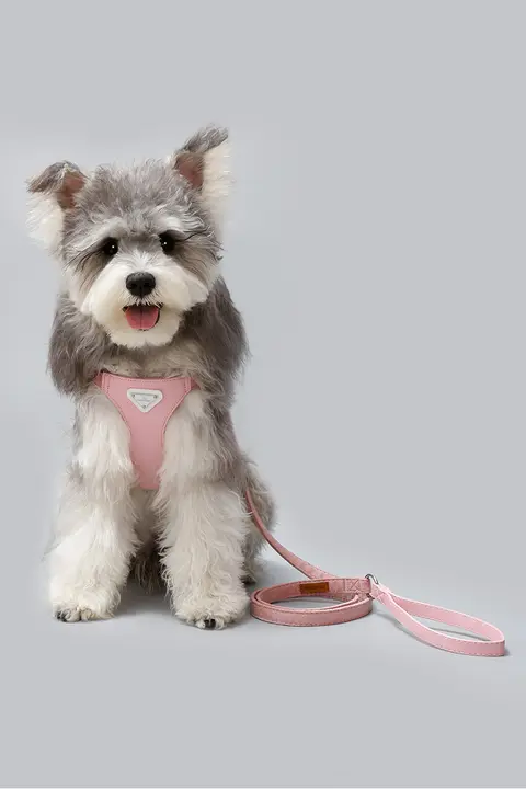 小型犬用ハーネスリード【進化した胸部サポート・テディベア・ビションフリーゼ向け】