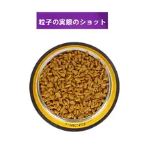 ステンレス製ペット用ボウル【滑り止め・耐噛み・犬猫兼用・シンプルデザイン】