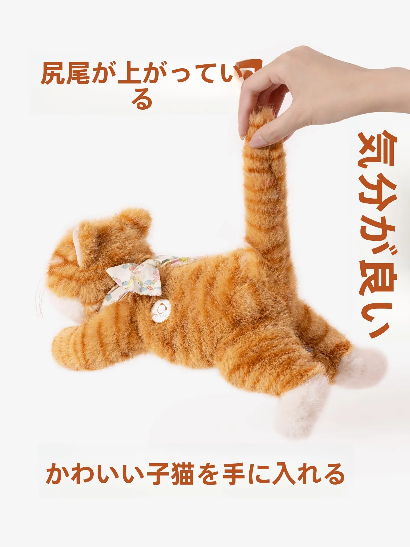 クレヨンキャットとハッピーキャットの違いは？オレンジキャットが本当に「ハッピーキャット」なのか？