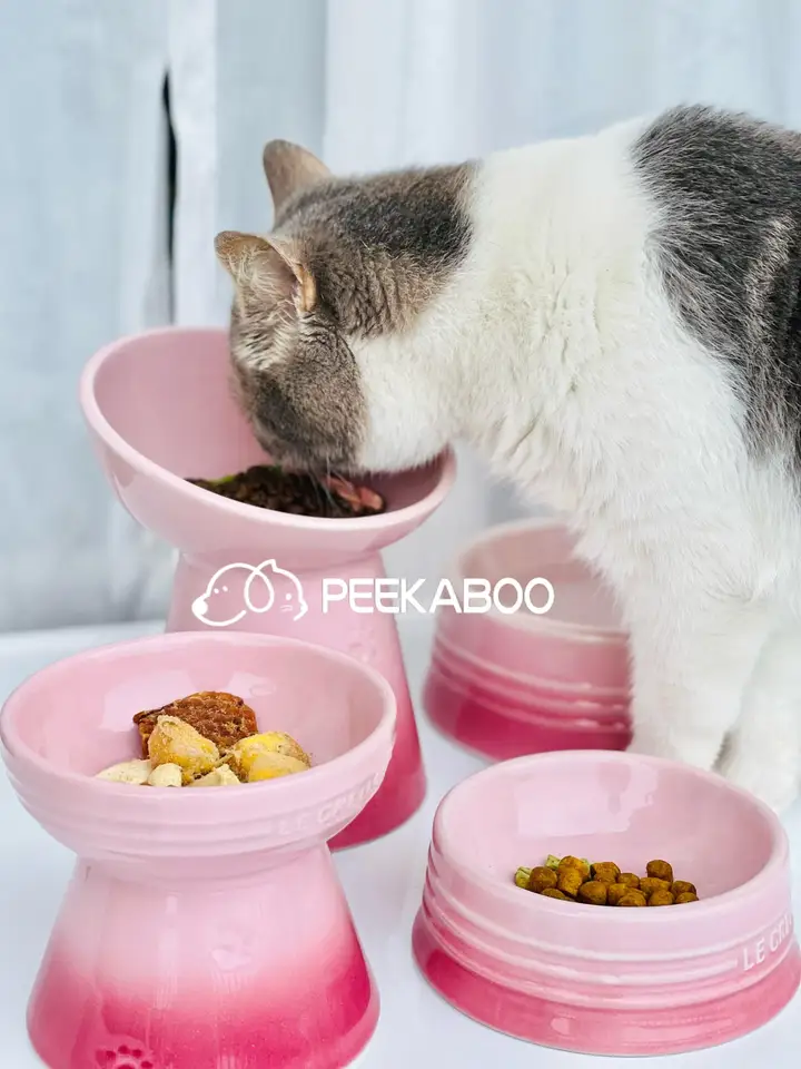 フランス製グラデーション陶器ペット用ボウル【斜め口・高脚・首保護】