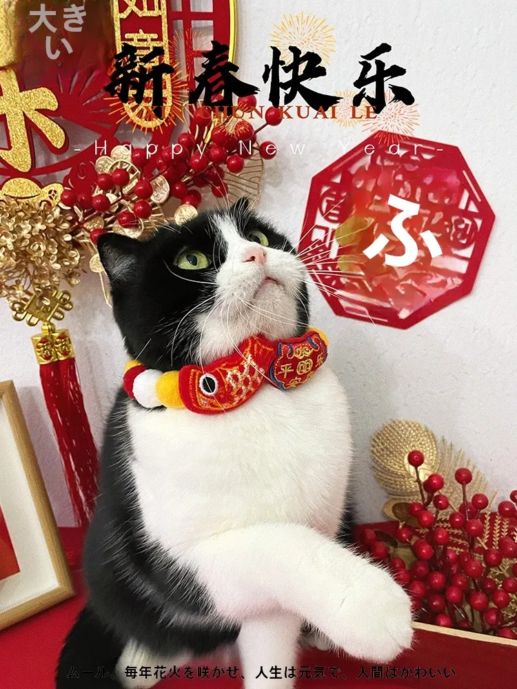 カラフルなボール付きペット用首輪：毛玉デザインと招き猫福袋の意味を解説