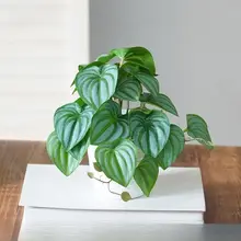 北欧風 インテリア装飾用フェイクグリーン葉盆栽【デスク用・おしゃれな造花】