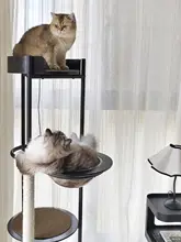 キャットタワー ペット キャットベッド 天然木 人気 デザイン感