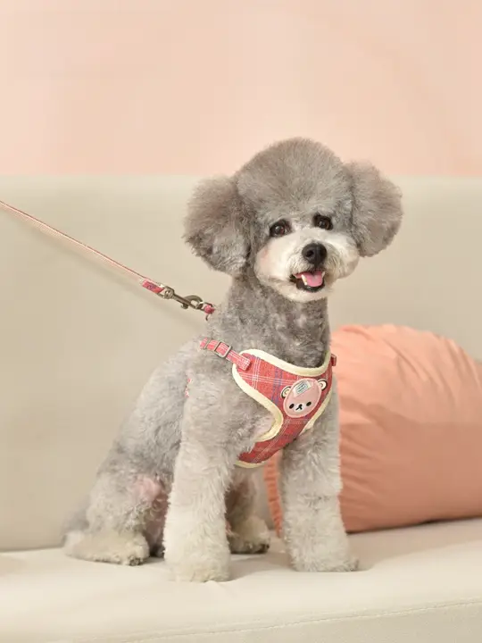 犬用ハーネス式リード【中型犬・防爆デザイン・テディベア用】